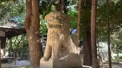 若宮神社 (滋賀県)