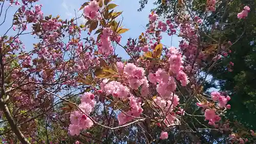 豊栄神社の自然