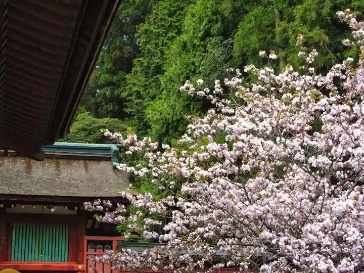 志波彦神社・鹽竈神社(宮城県)
