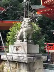 自由が丘熊野神社の狛犬