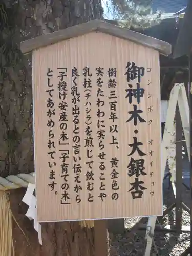 取手八坂神社(茨城県)