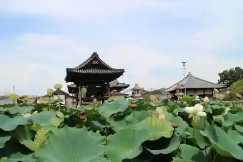 家原寺の庭園