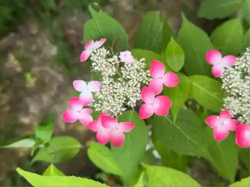 高屋敷稲荷神社(福島県)