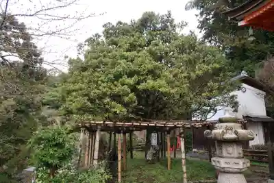 宝厳寺(滋賀県)