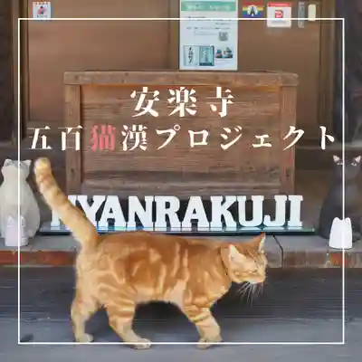 天王山 安楽寺(福井県)