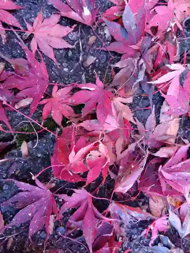 足羽山招魂社(福井県)