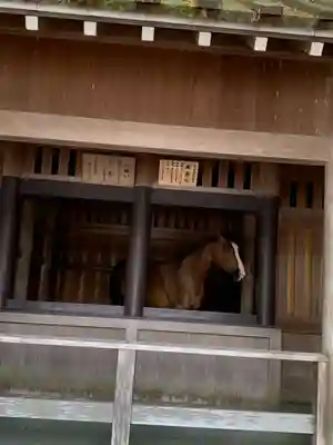 伊勢神宮内宮（皇大神宮）(三重県)