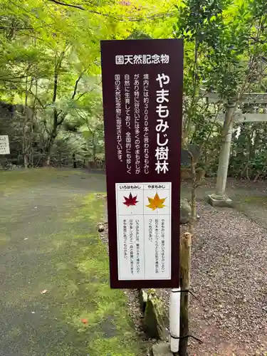 大矢田神社(岐阜県)