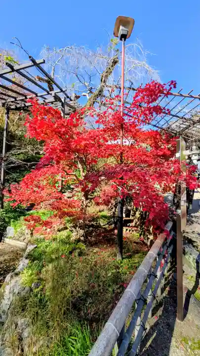 長谷寺(奈良県)