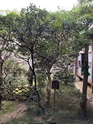 龍安寺(京都府)