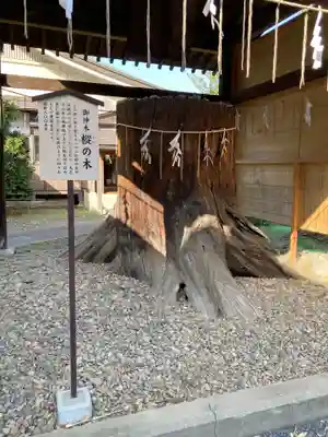 須賀神社(栃木県)