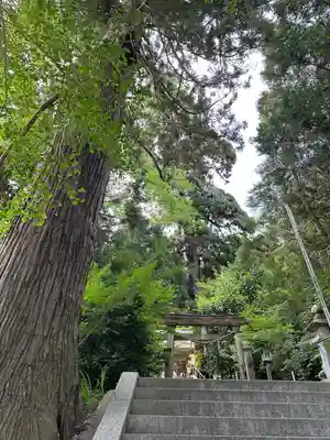 田間神社(千葉県)
