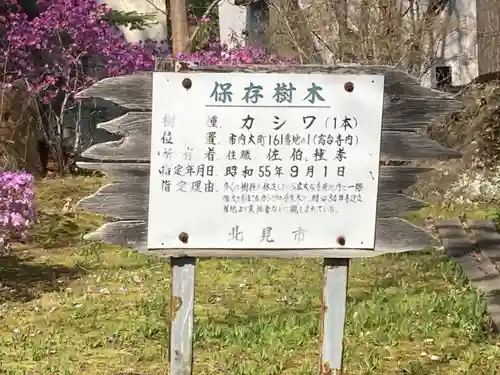 高台寺の自然