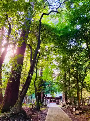 鴨鳥五所神社(茨城県)
