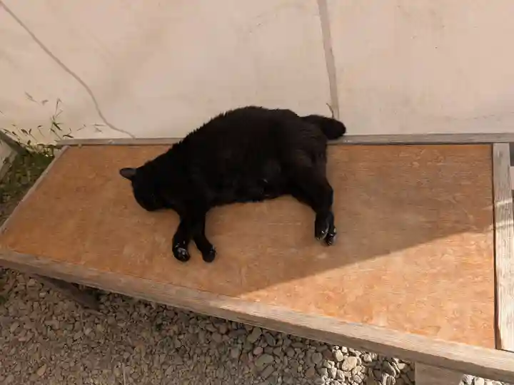 梅宮大社(京都府)