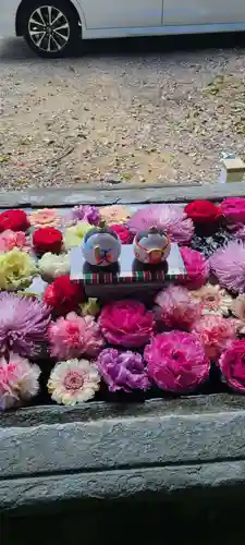 宇佐八幡神社の手水舎