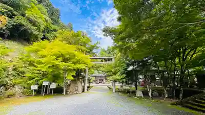 多治神社(京都府)
