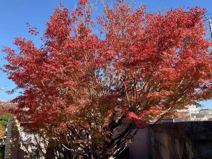 金剛寺(東京都)