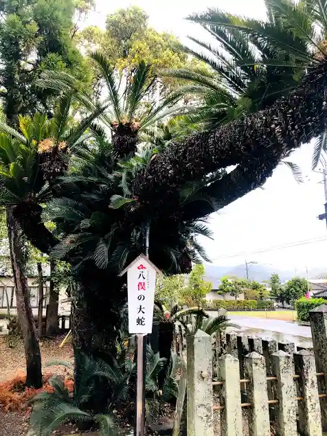 米ノ津天満宮の自然