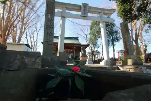 熊野福藏神社の鳥居