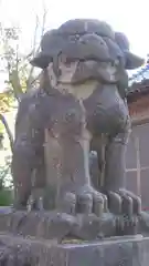 白山神社の狛犬