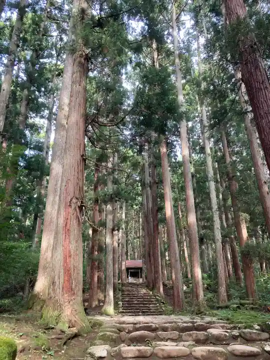 平泉寺白山神社(福井県)
