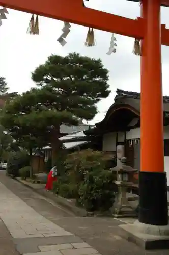 宇治上神社の鳥居