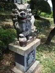高尾山麓氷川神社の狛犬