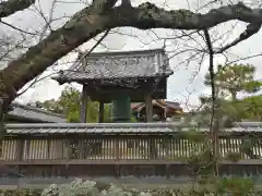 大覚寺の建物その他