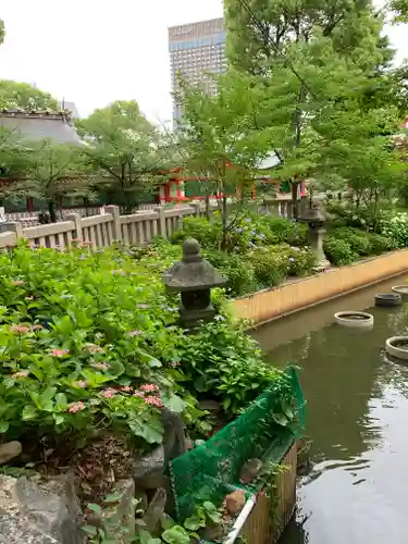 生田神社(兵庫県)