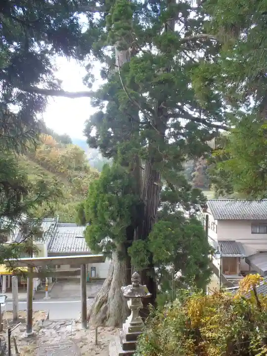 杉本神明神社(愛知県)