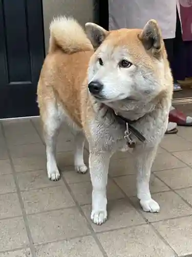笠䅣稲荷神社(神奈川県)