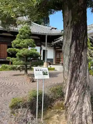瑞泉寺(愛知県)