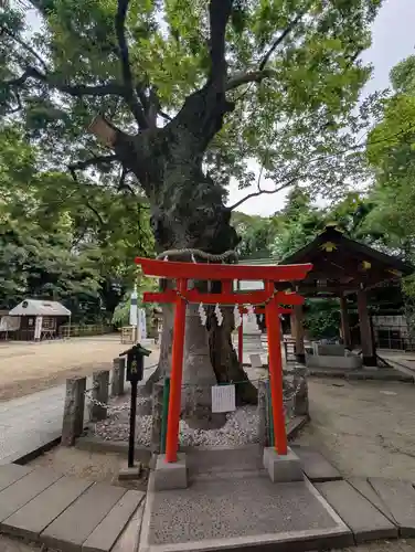 新田神社(東京都)