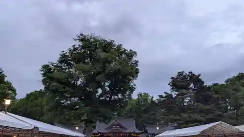 北海道護國神社のお祭り