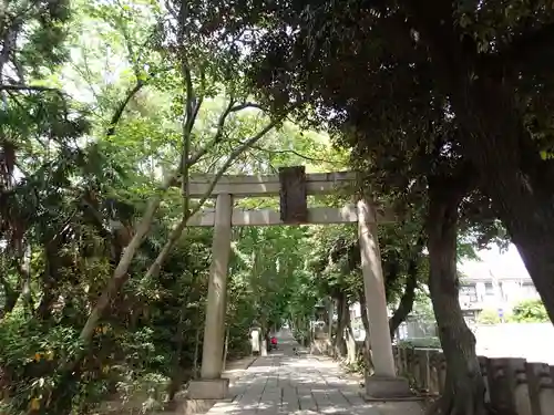 越ヶ谷久伊豆神社の鳥居