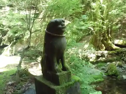 関口不動尊奥宮の狛犬