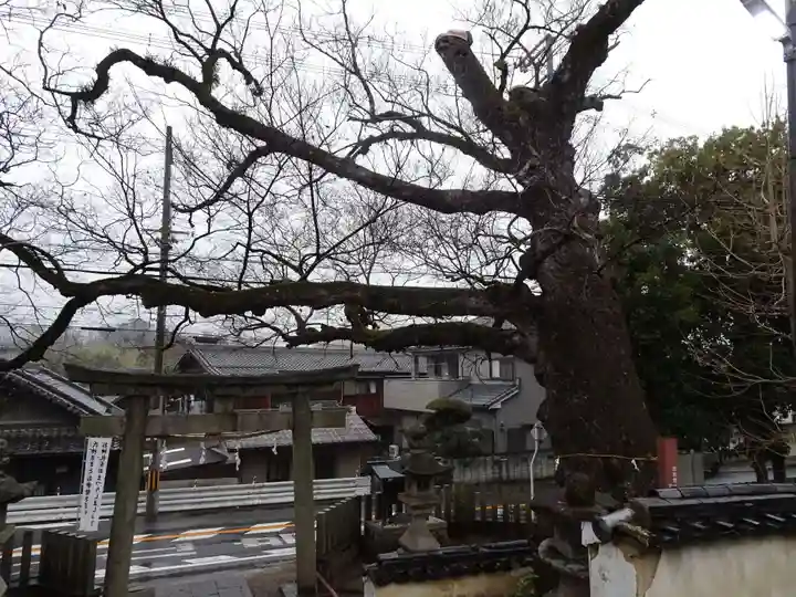 積川神社(大阪府)