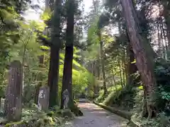 最乗寺（道了尊）の建物その他