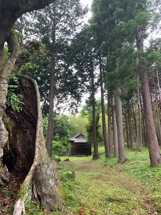 熊野神社の建物その他