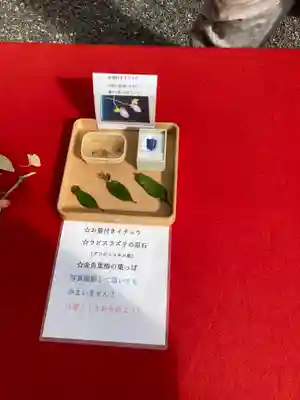 平岡八幡宮(京都府)