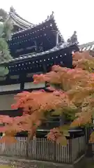 浄福寺の本殿