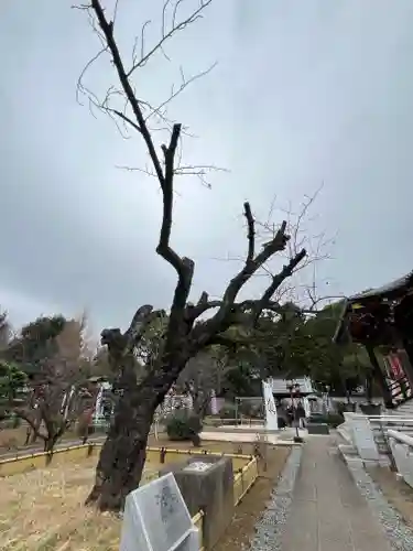 寛永寺開山堂(東京都)