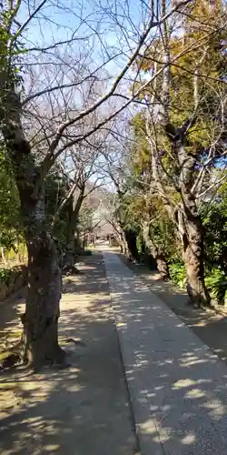 極楽寺（霊鷲山感應院極楽律寺）の景色