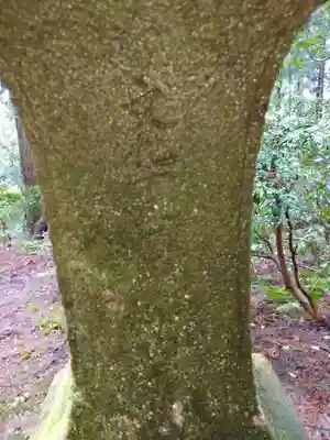 青海神社(新潟県)