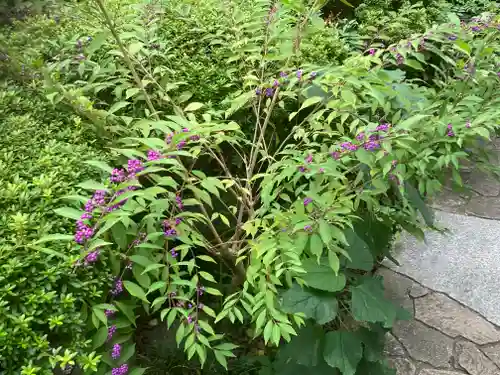 大巧寺(神奈川県)