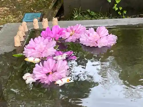 前玉神社の手水