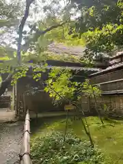 祇王寺(京都府)