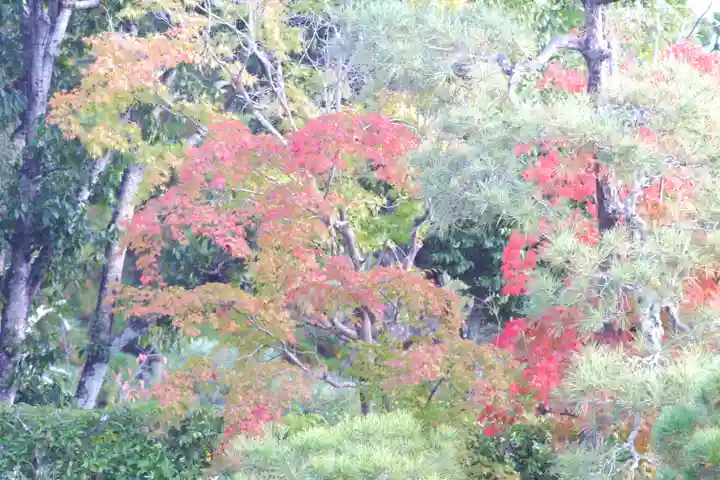 仁和寺(京都府)