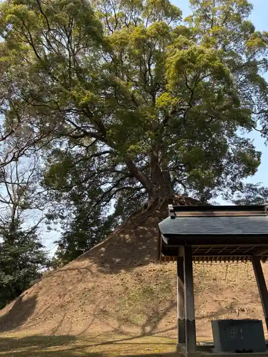 楠木神社(茨城県)